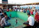 Una India en miniatura