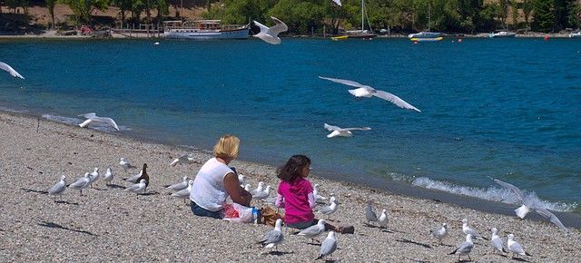 Viviendo en Queenstown