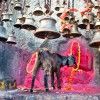 sacrificios-animales-templo-india