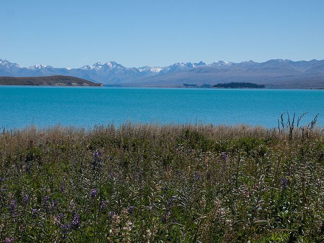Viaje a Nueva Zelanda